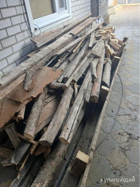 Дерево в Светлограде