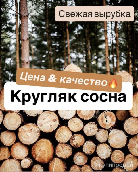 Кругляк пиловочный сосна в Екатеринбурге