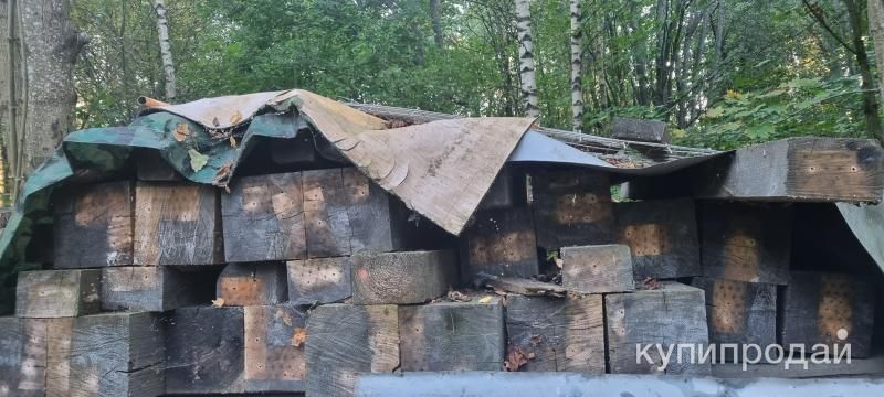 Брус бу в Санкт-Петербурге
